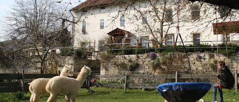 Jardines del alojamiento