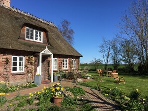 Freistehendes, saniertes Reetdach-Haus mit Vorgarten und Sitzmöglichkeiten