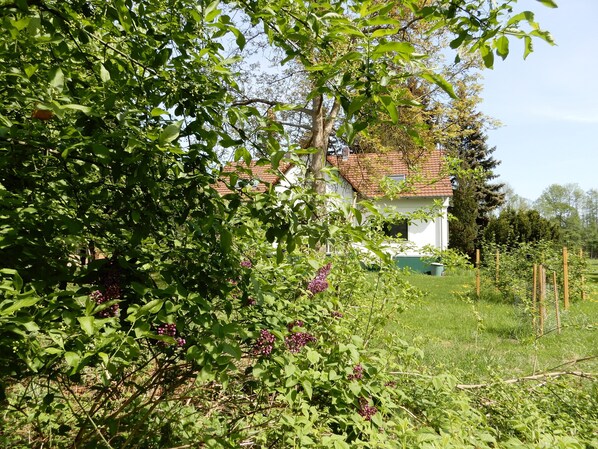 FeWo "Streuobstwiese-The Orchard" im Frühling - nicht nur ein Idyll für Bienen!
