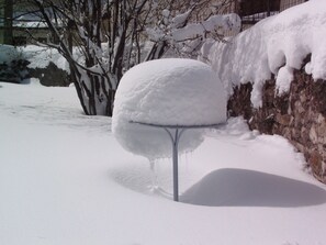 jardin en hiver