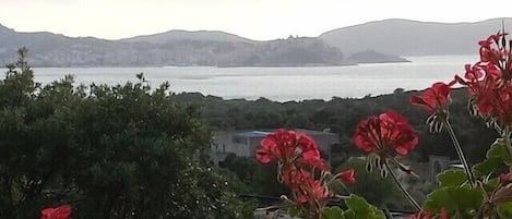 Vue depuis l’hébergement