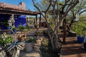 Cactus water fountain (left) Bridge over arroyo (rt)
