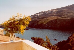 Vue du balcon-terrasse.