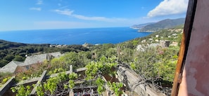 Vue depuis l’hébergement