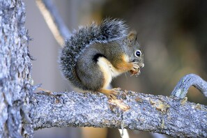 One of many friendly neighbors
