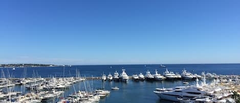 Vue exceptionnelle et très distrayante sur le port