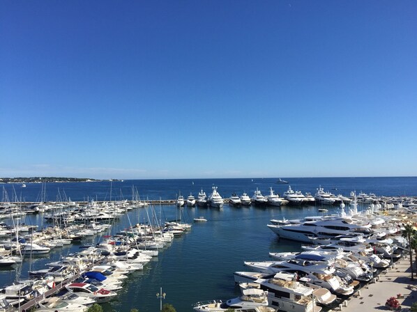 Vue exceptionnelle et très distrayante sur le port