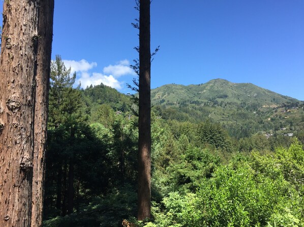 The view!