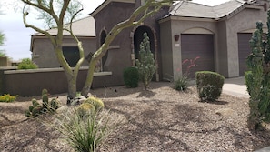 Front yard