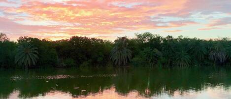 Lake at sunrise