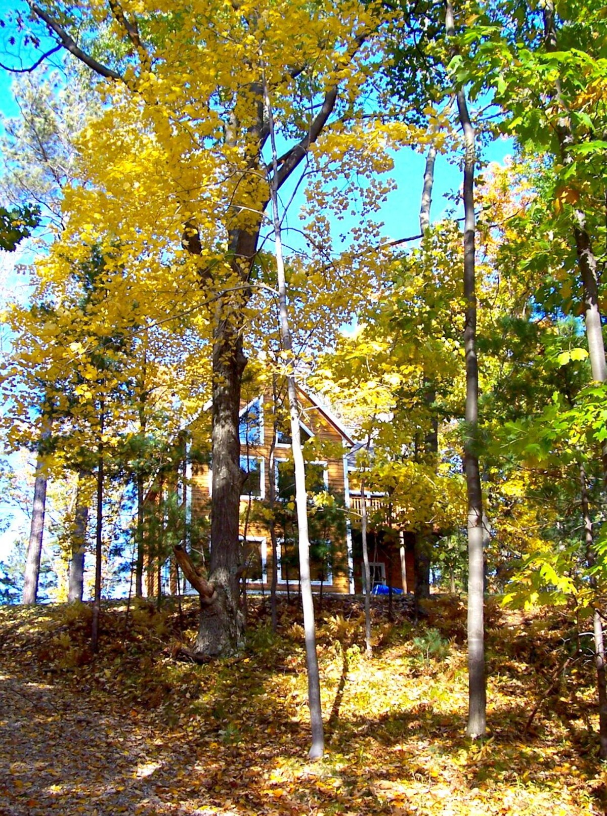 Main Image
