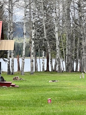 View of the lake from the deck