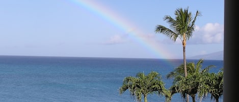 View from lanai