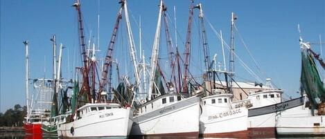 Just one block from the scenic shrimp boat fleet and great seafood markets