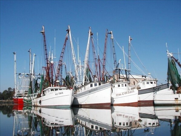 Just one block from the scenic shrimp boat fleet and great seafood markets