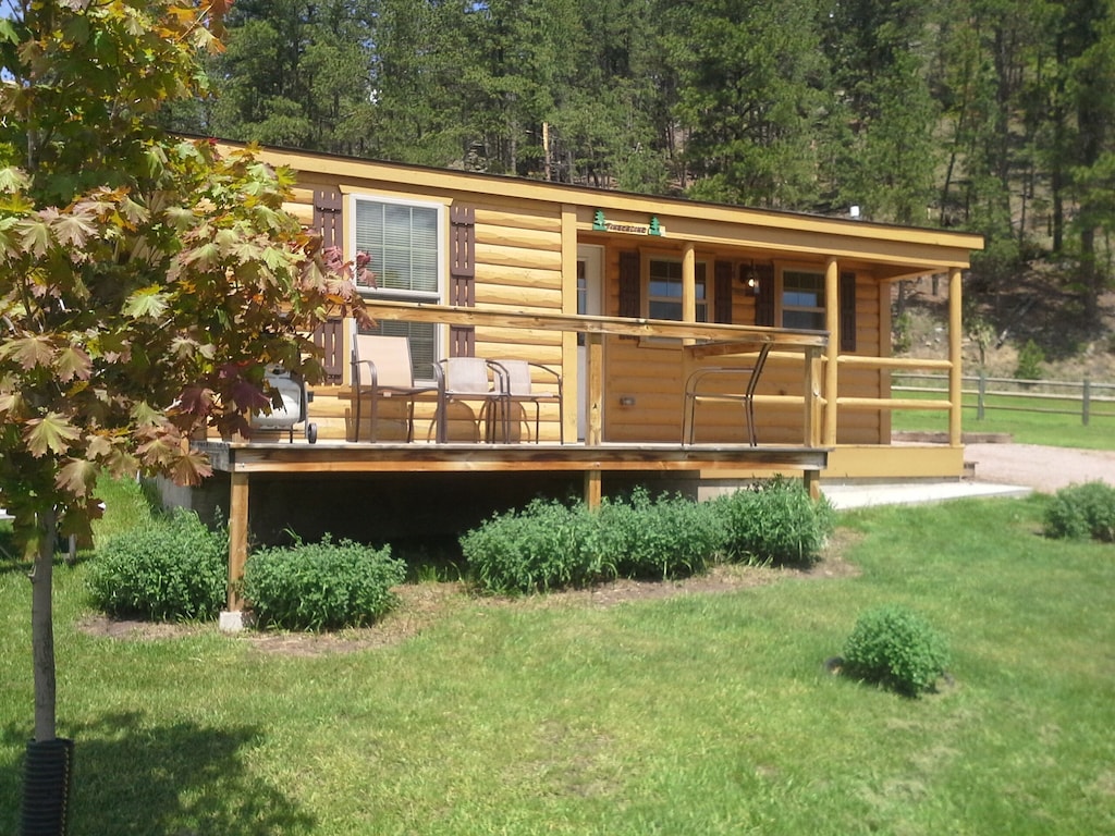 American Pines Cabin, 5 Miles from Mt. Rushmore!