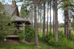 Back Deck