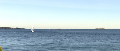 View from front patio overlooking Willows Beach