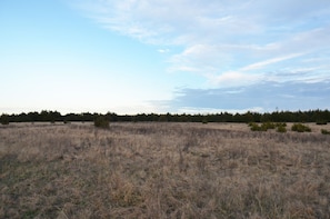 100 Acres of Pasture and creek land