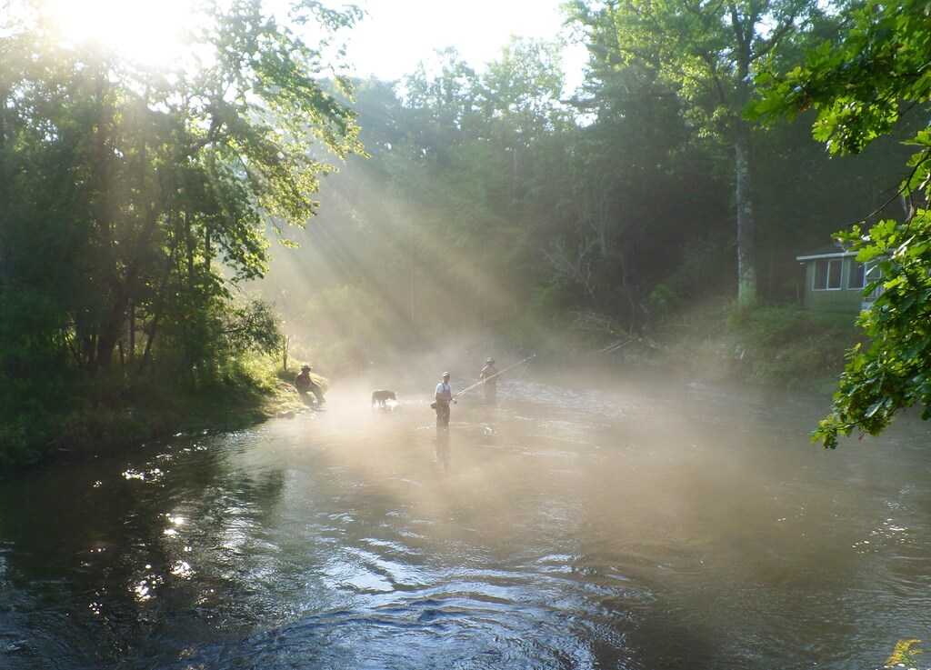 Pere Marquette River Fly S Only Section 6000 Feet Of River Frontage Baldwin Pere Marquette River Fly S Only Section 6000 Feet Of River Frontage Baldwin