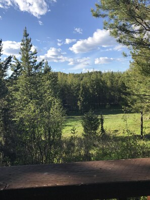 Utsikt från boendet