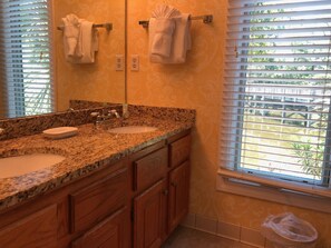 Master bath with tub/shower in separate room
