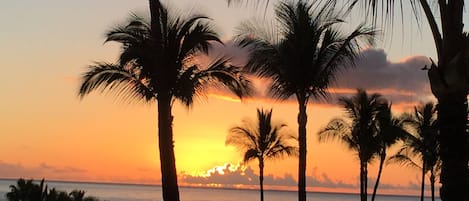 Vista para praia/oceano