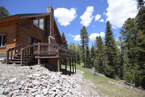 Charming log cabin with breathtaking woodsy views