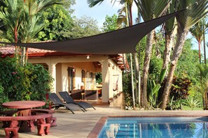 surrounded by tropical plants
