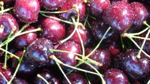 Freshly picked