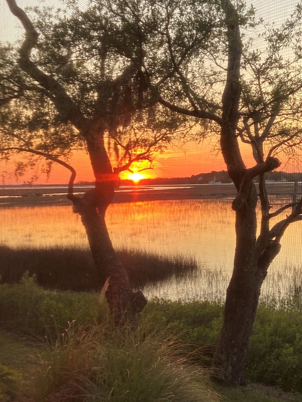 Gorgeous sunsets