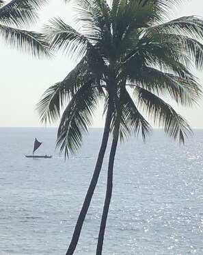 Watch boats sail by in the morning