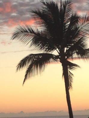 Another picture perfect end to your day at Sea Village Resort !
