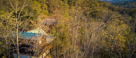 Pigeon Forge Cabin "Antler Crossing" - Arial view