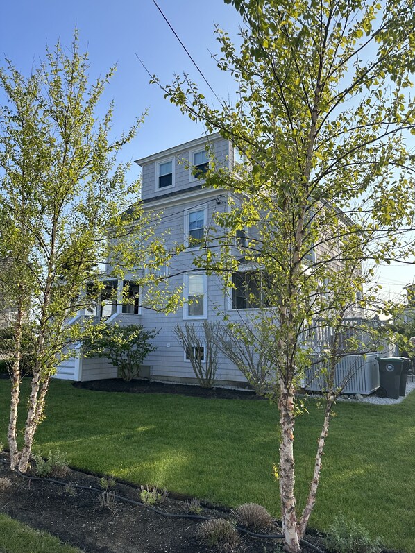 Beach cottage 