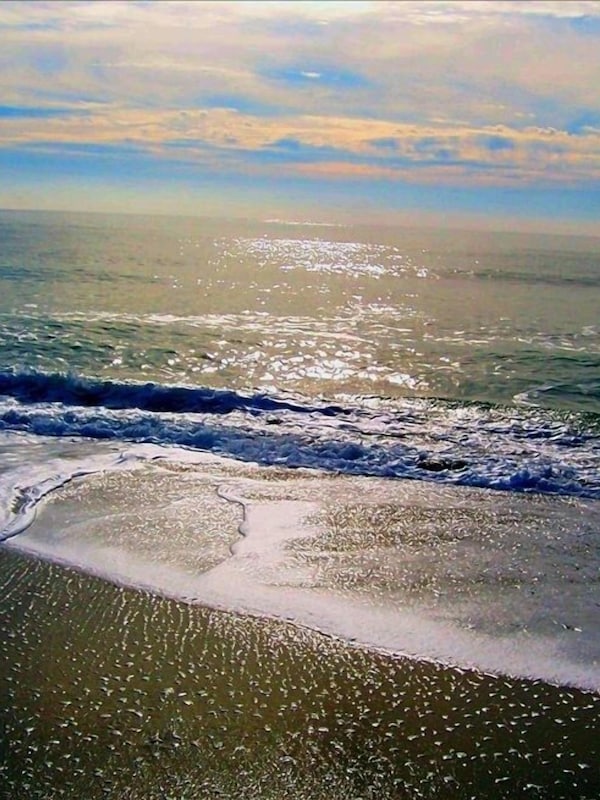 dusk at the beach