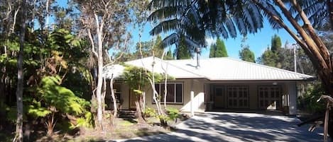 Front of house with concrete driveway, carport, Hapu'u Ferns and Ohia Trees