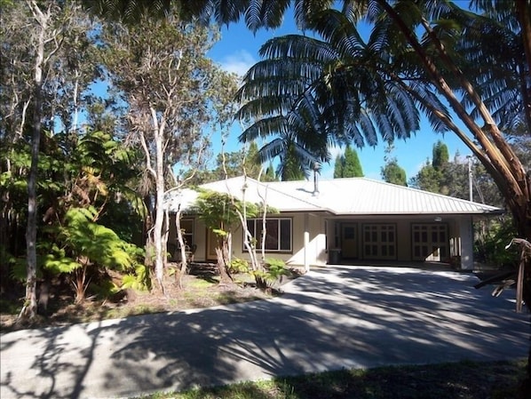 Front of house with concrete driveway, carport, Hapu'u Ferns and Ohia Trees