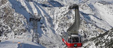 The "Bird" tram outside your door....