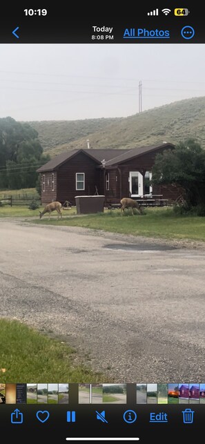 Wildlife makes a home here too!
