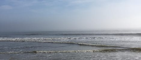 Morning stroll on the beach