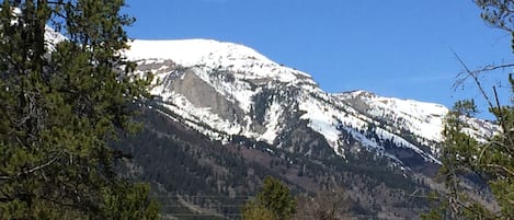 View of Rendezvous MountainTram at Jackson Hole Ski Area from private patio