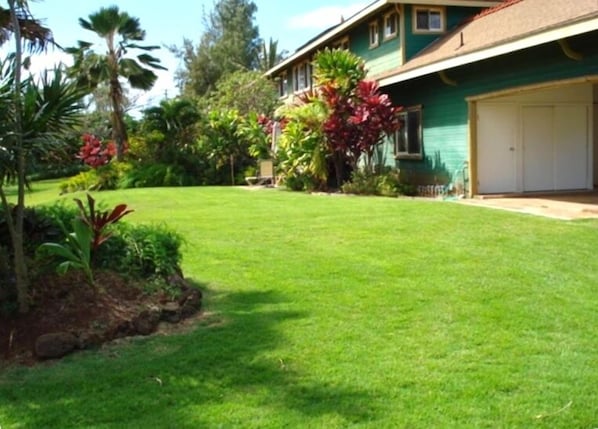 Patio and Back Yard and private carport