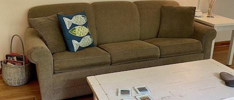 Pull-out couch in living room