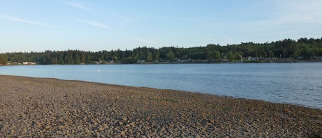 Lots to explore at the beach!