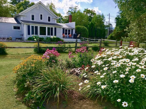 Summer view from garden