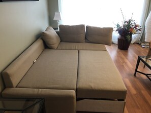 Living Room - Queen Size sofa bed for two people