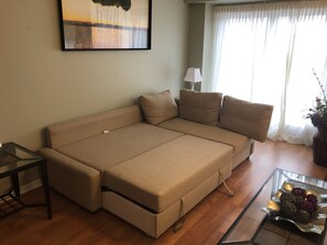 Living - Queen size sofa bed for two people