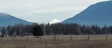 view up into Glacier Park from property