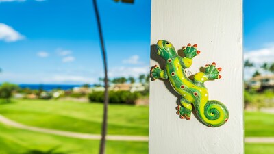 Winter Sale! ❄️ PREMIERE 🌊OCEAN &⛳️GOLF COURSE views! 3br/2ba villa in Wailea 